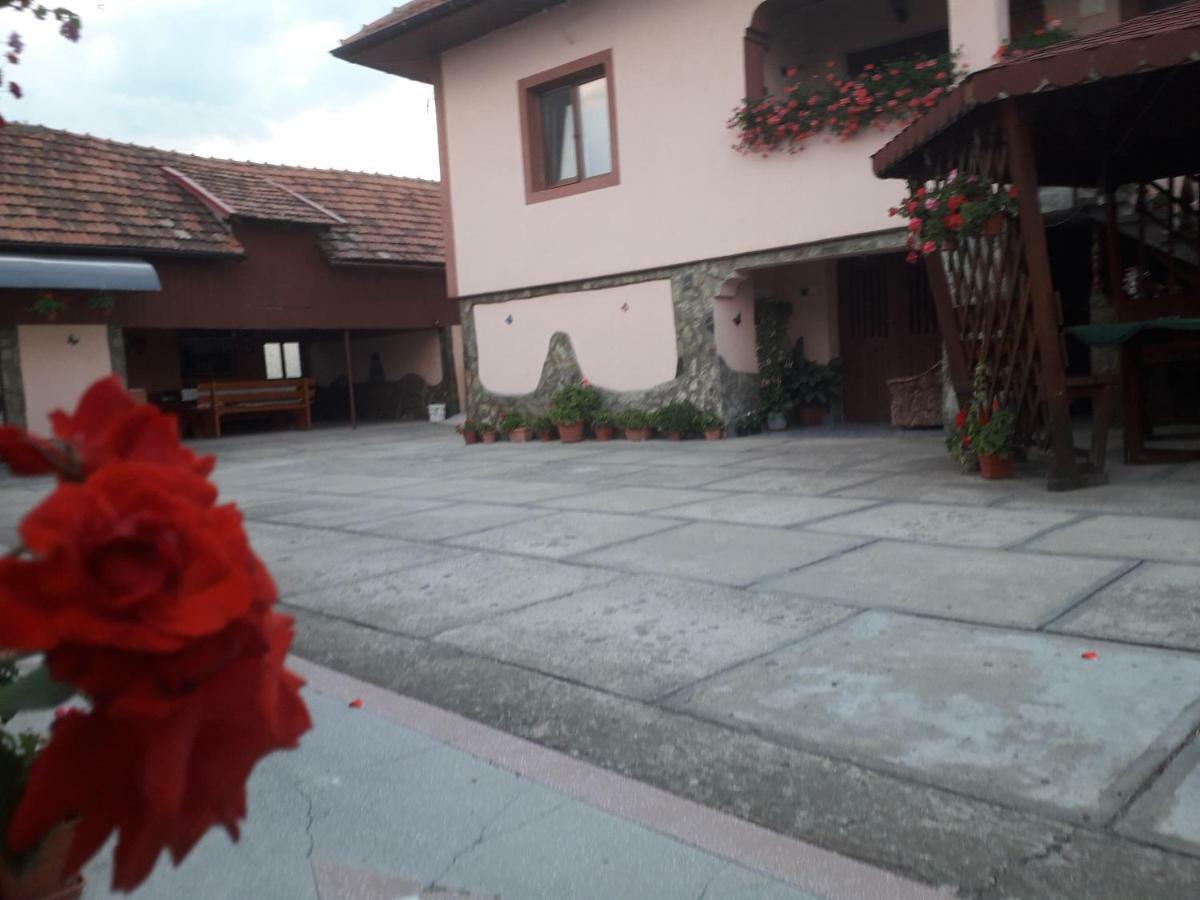 Pensiunea Ileana Novaci-Straini Luaran gambar
